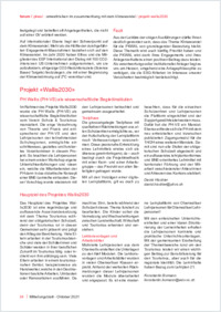 Hischier_2021_Projekt Wallis 2030_PH-Wallis als wissenschaftliche Begleitinstitution